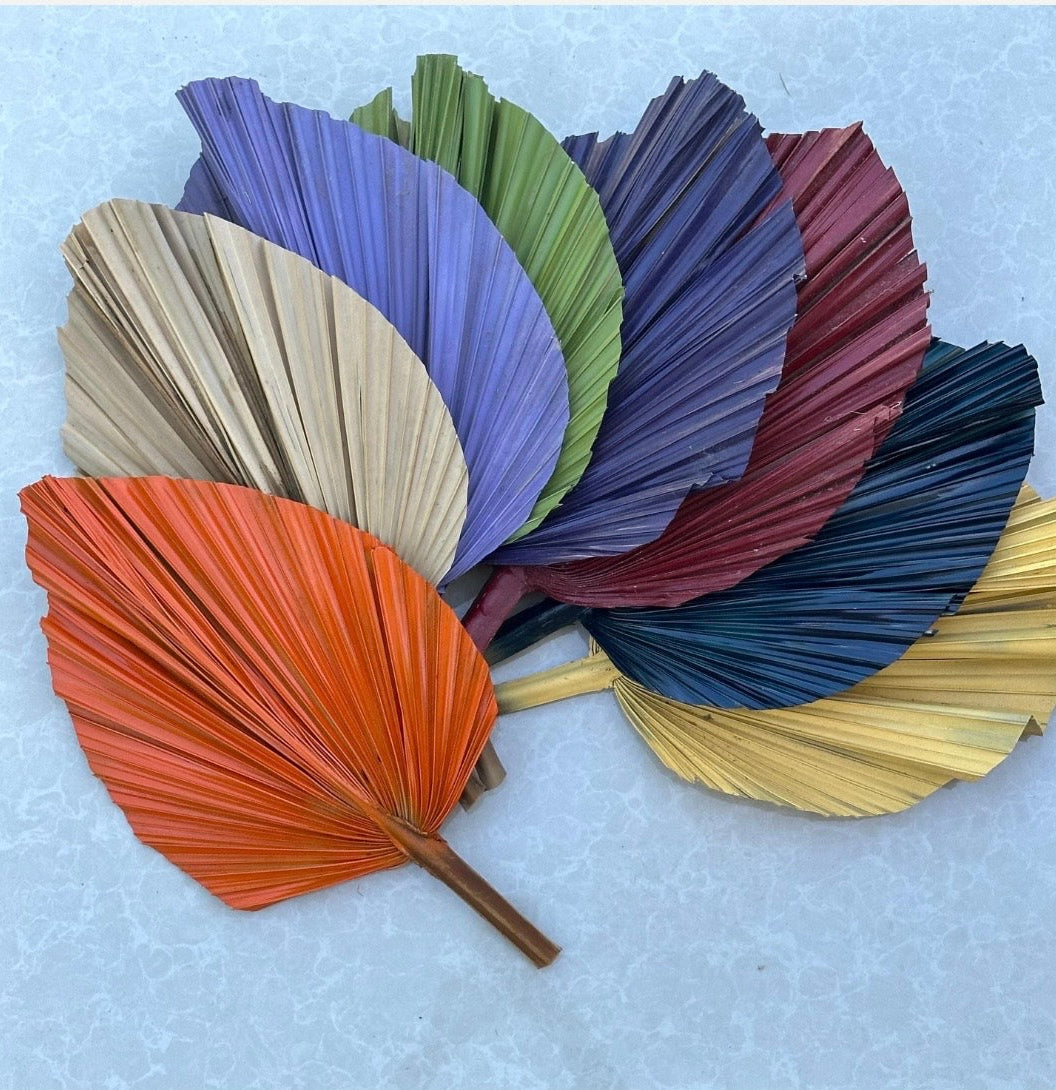 14” Burnt Orange Dried Palm Leaves Set of 3, Fall Boho Decor, Painted Palm Fronds, Autumn Wedding Centerpiece, Tropical Vase Fillers