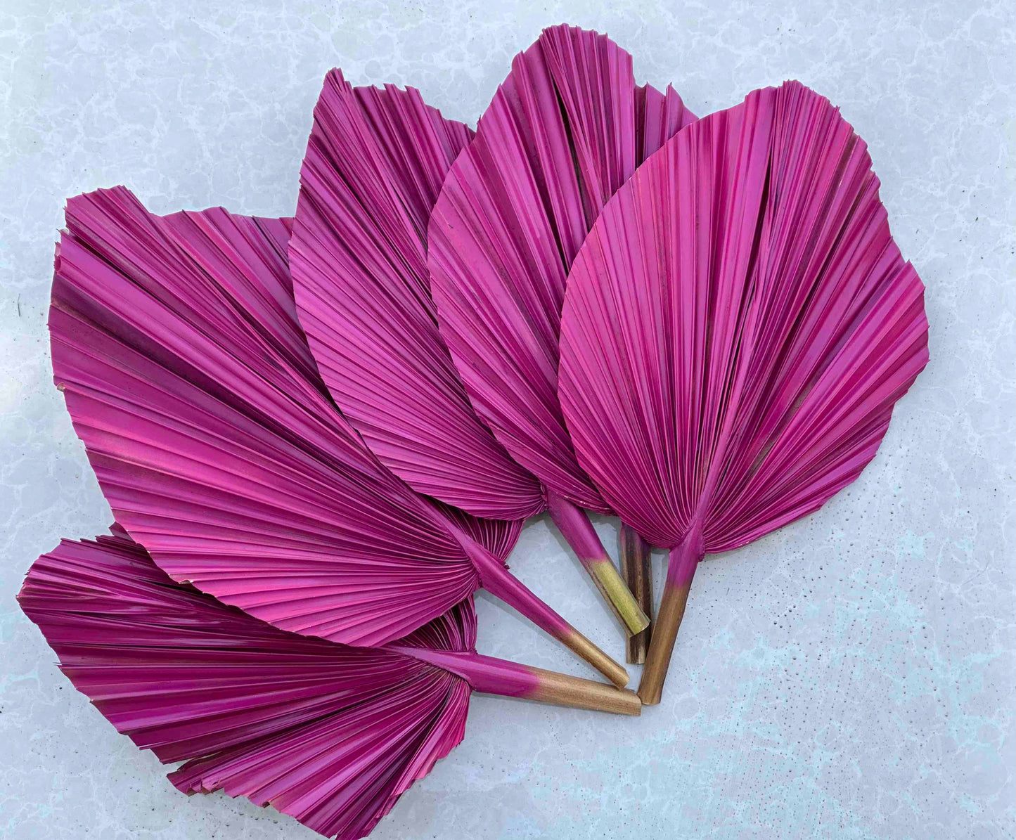 Includes 3 Palms: 12"W X 17"L Medium PINK Dried Palm Leaf | Palm Fan | Tropical Decor | DIY Floral Arrangements | Home | Party | Wedding | Boho Decor | Free Ships Flat, Ready to Use! 3 PCS