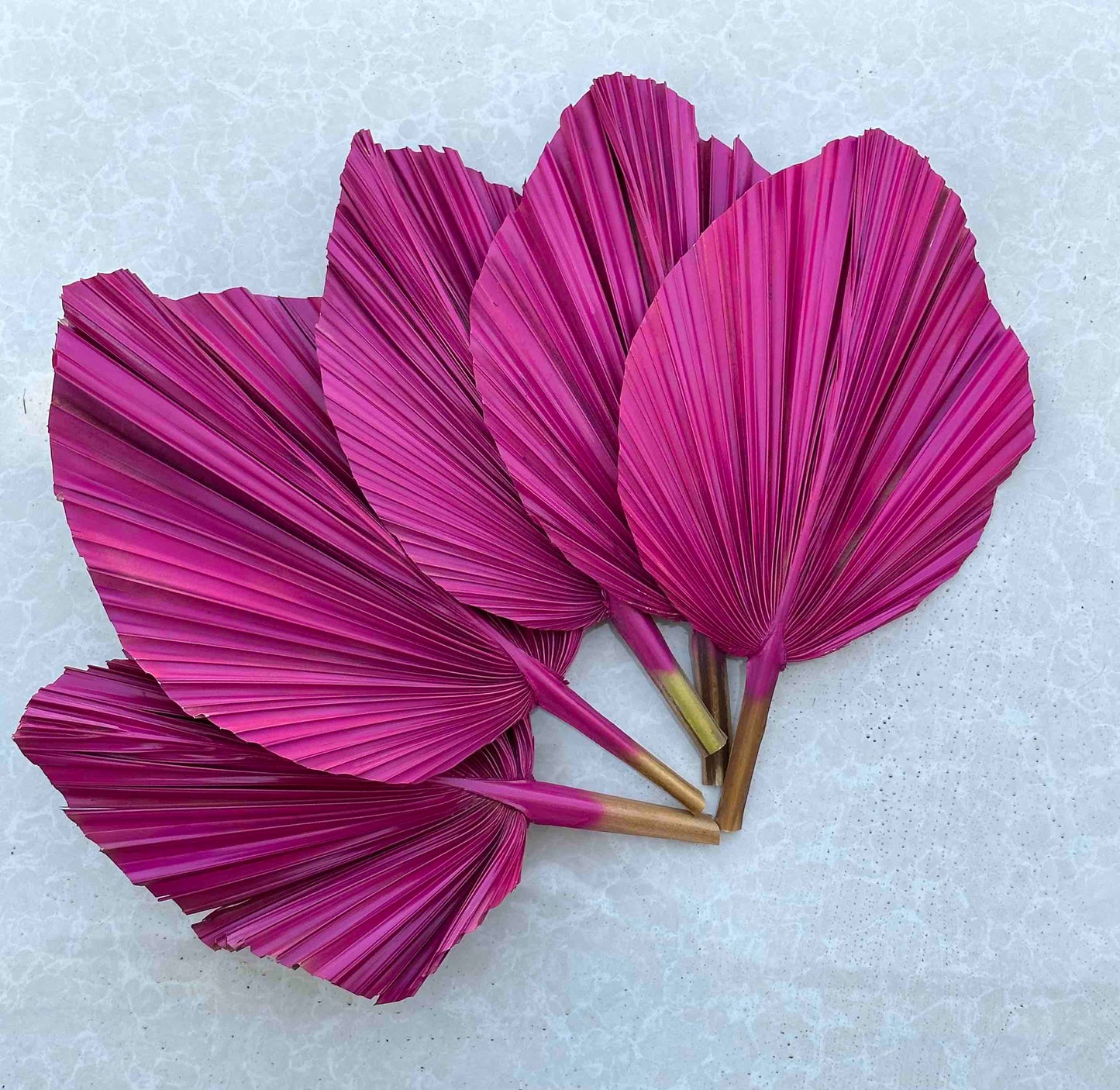 Includes 3 Palms: 12"W X 17"L Medium PINK Dried Palm Leaf | Palm Fan | Tropical Decor | DIY Floral Arrangements | Home | Party | Wedding | Boho Decor | Free Ships Flat, Ready to Use! 3 PCS