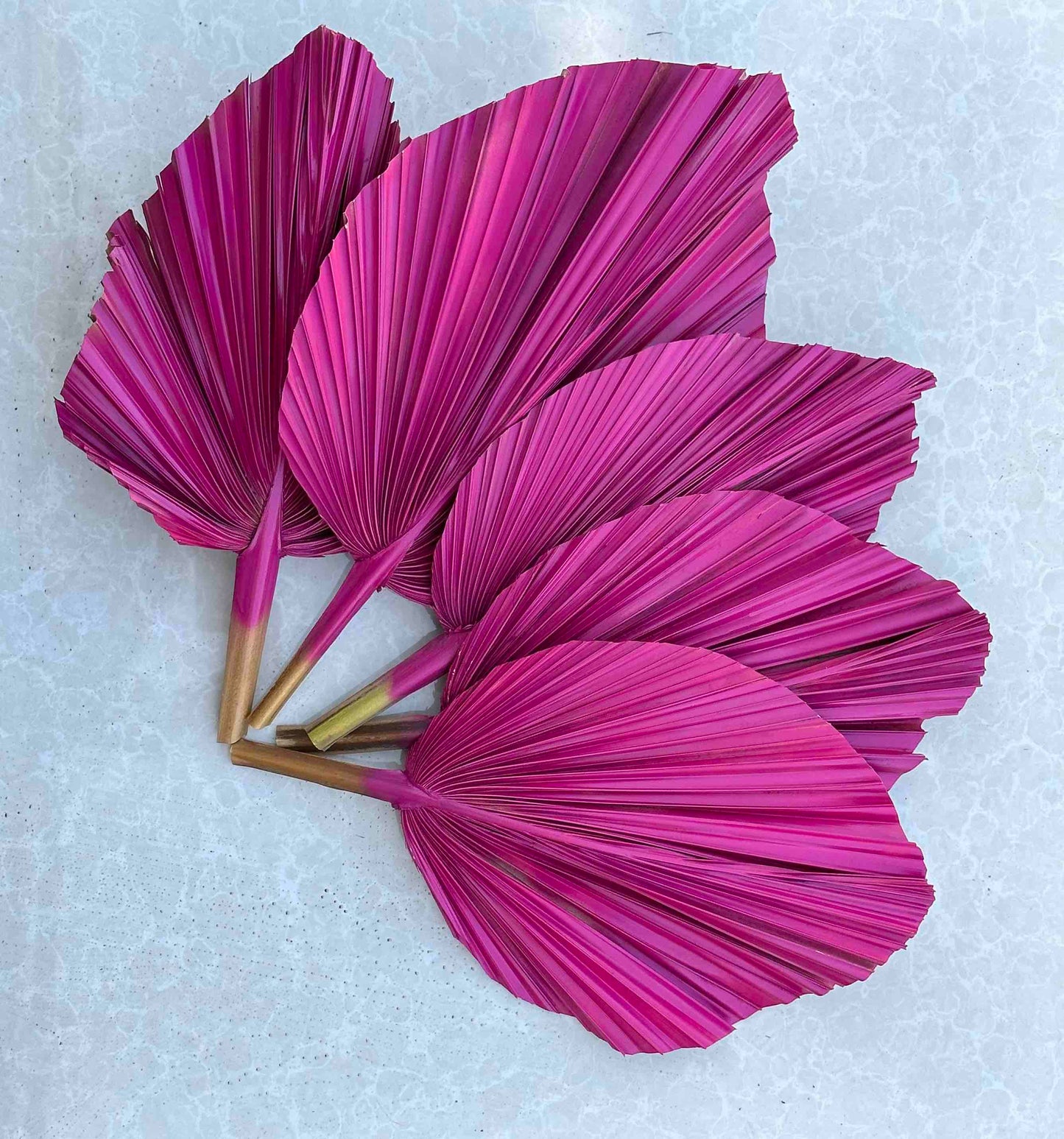 Includes 3 Palms: 12"W X 17"L Medium PINK Dried Palm Leaf | Palm Fan | Tropical Decor | DIY Floral Arrangements | Home | Party | Wedding | Boho Decor | Free Ships Flat, Ready to Use! 3 PCS
