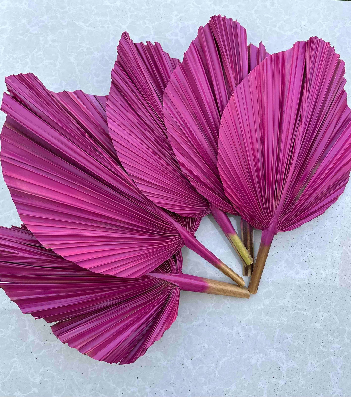 Includes 3 Palms: 12"W X 17"L Medium PINK Dried Palm Leaf | Palm Fan | Tropical Decor | DIY Floral Arrangements | Home | Party | Wedding | Boho Decor | Free Ships Flat, Ready to Use! 3 PCS