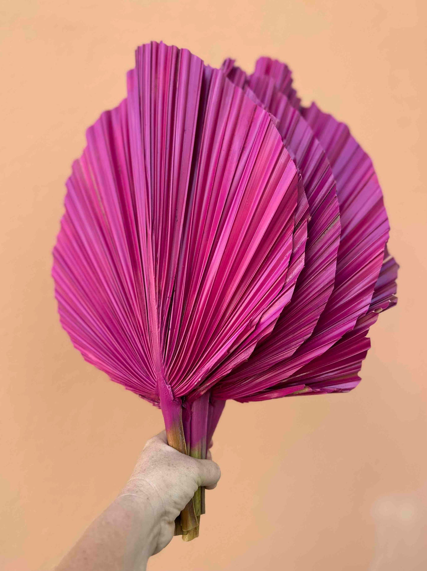 Includes 3 Palms: 12"W X 17"L Medium PINK Dried Palm Leaf | Palm Fan | Tropical Decor | DIY Floral Arrangements | Home | Party | Wedding | Boho Decor | Free Ships Flat, Ready to Use! 3 PCS