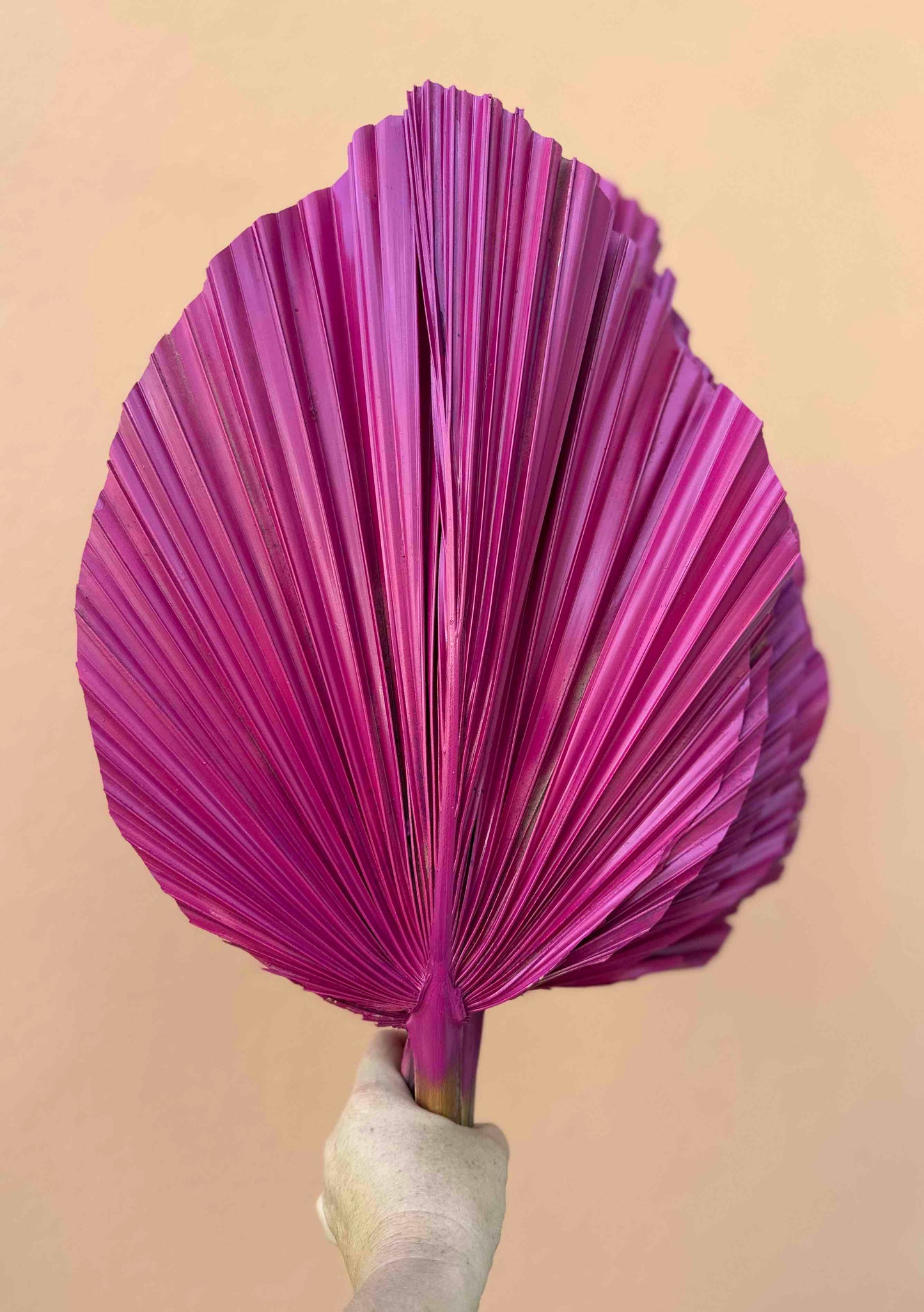Includes 3 Palms: 12"W X 17"L Medium PINK Dried Palm Leaf | Palm Fan | Tropical Decor | DIY Floral Arrangements | Home | Party | Wedding | Boho Decor | Free Ships Flat, Ready to Use! 3 PCS