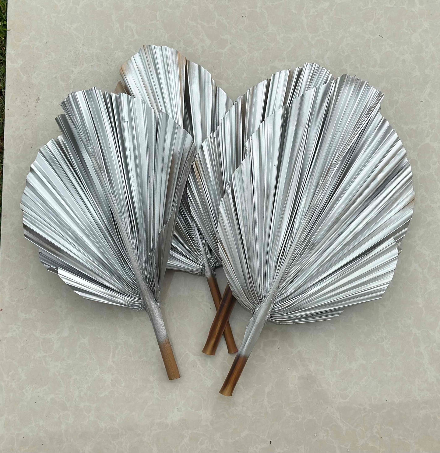 Includes 3 Palms: 12"W X 17"L Medium SILVER Dried Palm Leaf | Palm Fan | Tropical Decor | DIY Floral Arrangements | Home | Party | Wedding | Boho Decor | Free Ships Flat, Ready to Use! 3 PCS