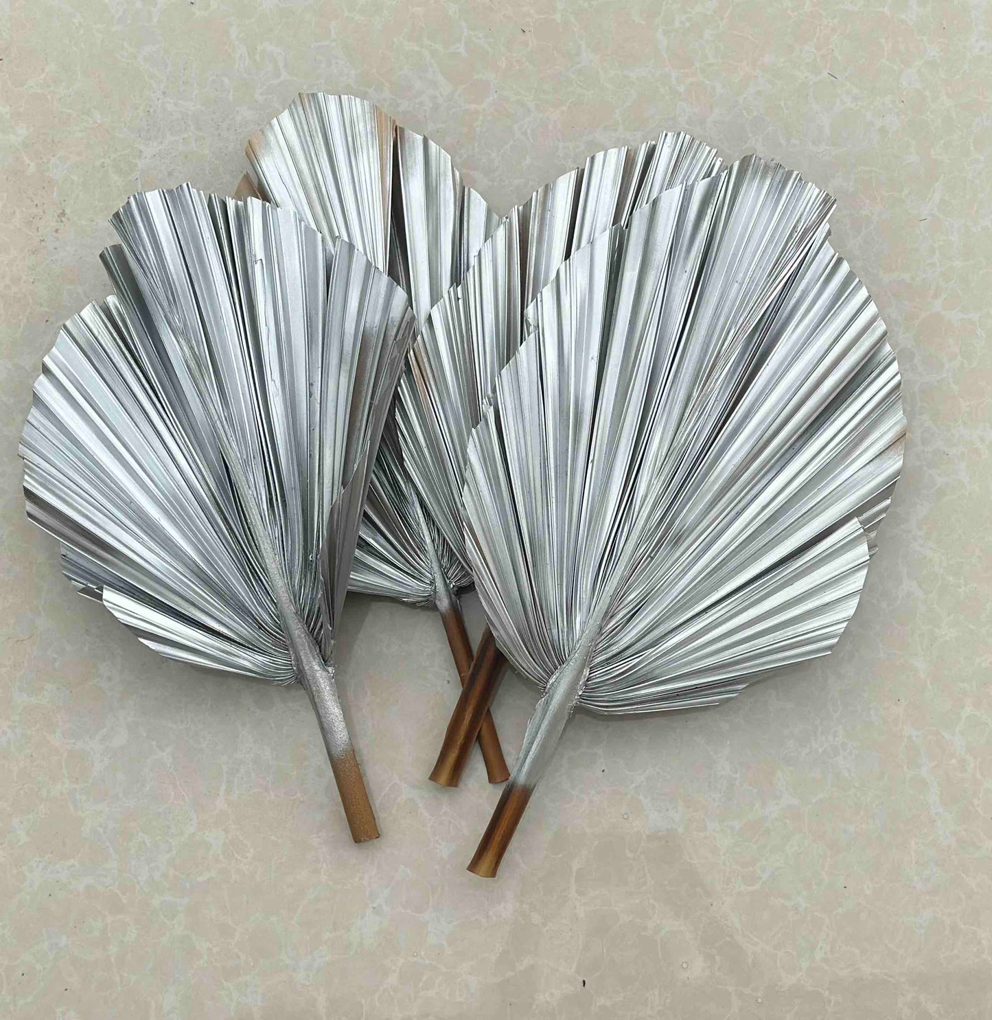 Includes 3 Palms: 12"W X 17"L Medium SILVER Dried Palm Leaf | Palm Fan | Tropical Decor | DIY Floral Arrangements | Home | Party | Wedding | Boho Decor | Free Ships Flat, Ready to Use! 3 PCS