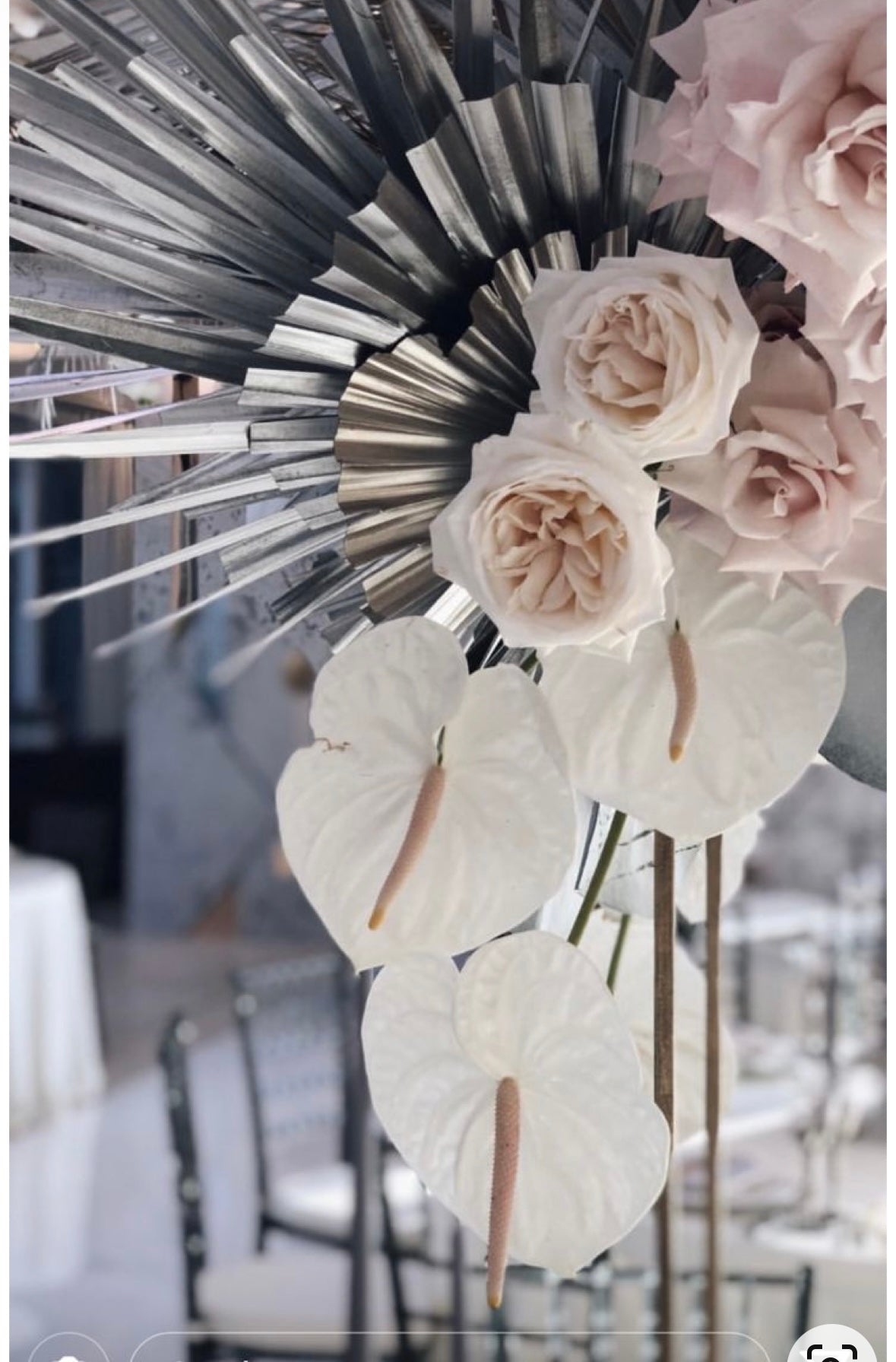 Includes 3 Palms: 12"W X 17"L Medium SILVER Dried Palm Leaf | Palm Fan | Tropical Decor | DIY Floral Arrangements | Home | Party | Wedding | Boho Decor | Free Ships Flat, Ready to Use! 3 PCS