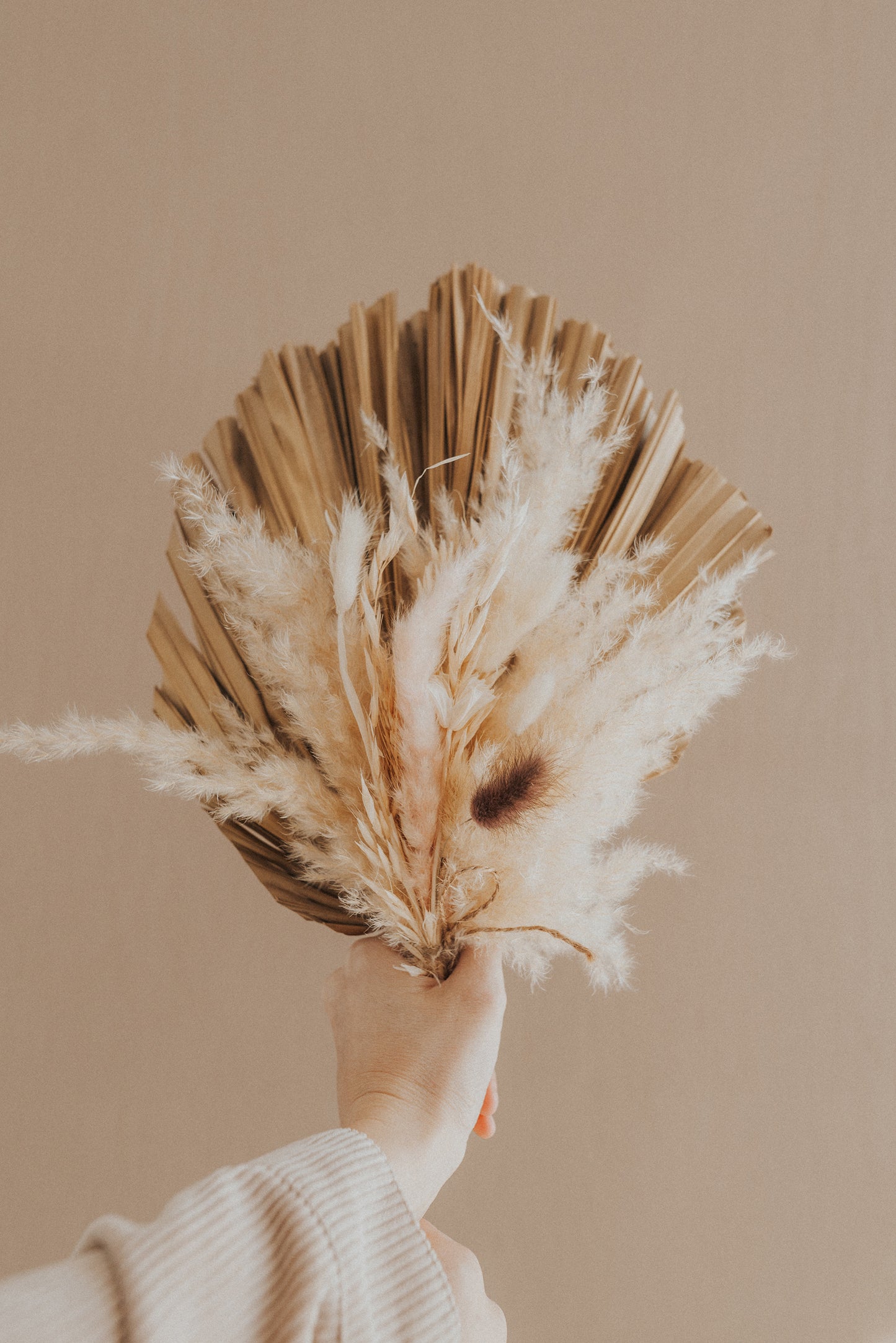 Includes 3 Palms: 12"W X 17"L Medium BEIGE Neutral Dried Palm Leaf | Palm Fan | Tropical Decor | DIY Floral Arrangements | Home | Party | Wedding | Boho Decor | Free Ships Flat, Ready to Use! 3 PCS
