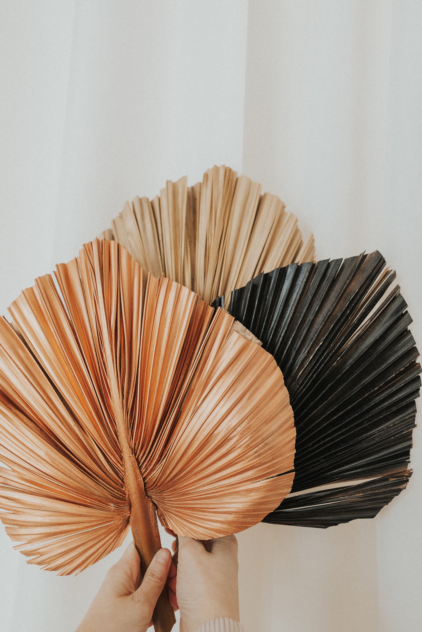 Includes 3 Palms: 12"W X 17"L Medium BEIGE Neutral Dried Palm Leaf | Palm Fan | Tropical Decor | DIY Floral Arrangements | Home | Party | Wedding | Boho Decor | Free Ships Flat, Ready to Use! 3 PCS