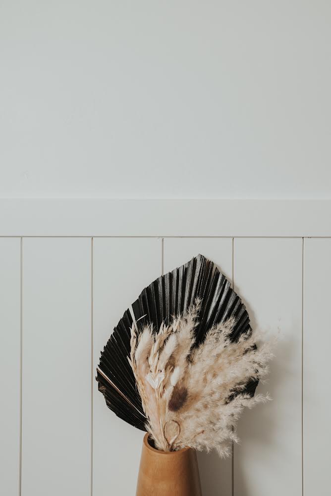 Includes 3 Palms: 12"W X 17"L Charcoal BLACK Medium Dried Palm Leaf | Palm Fan | Tropical Decor | DIY Floral Arrangements | Home | Party | Wedding | Boho Decor | Free Ships Flat, Ready to Use! 3 PCS