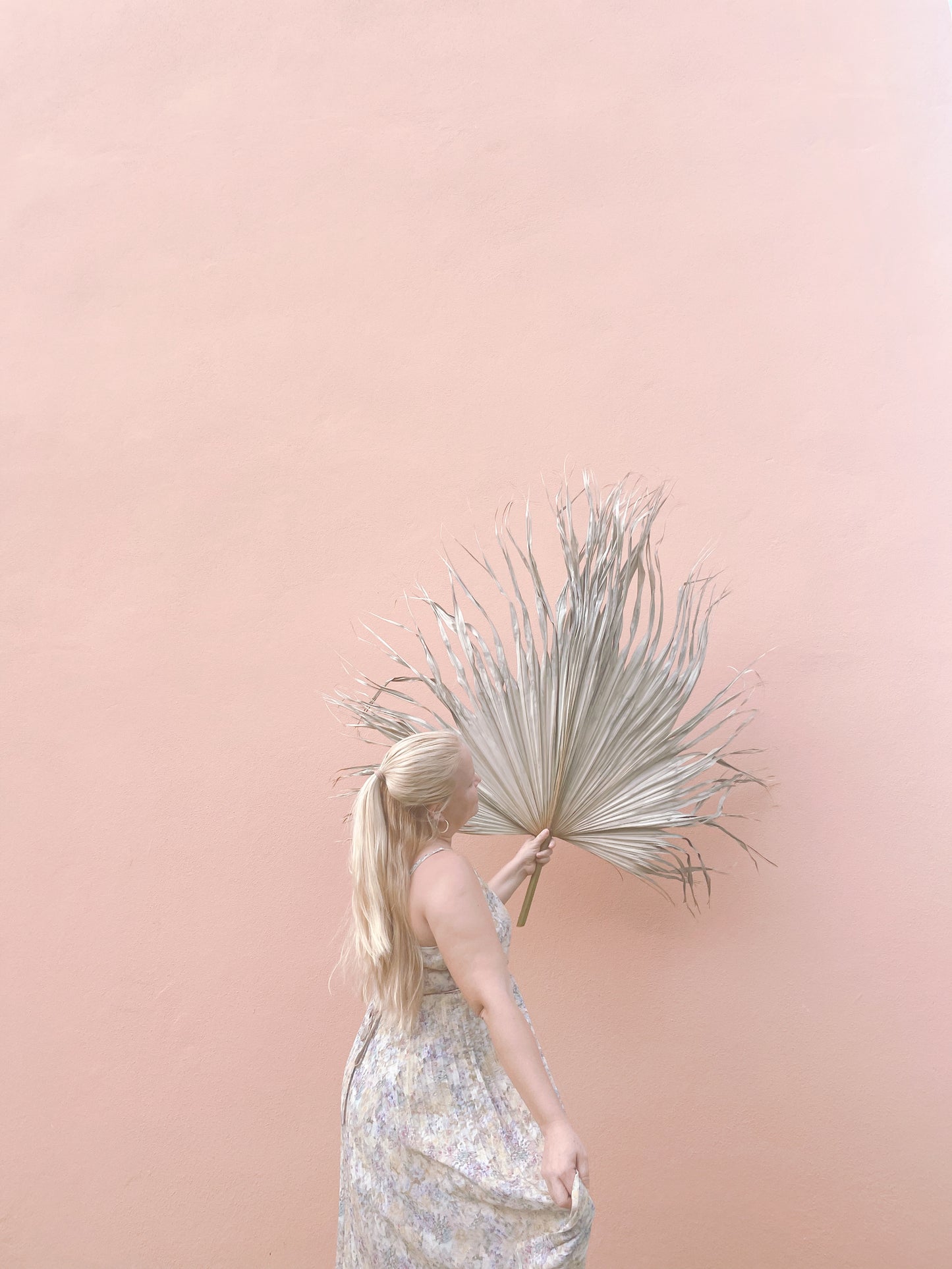 3ft. JUMBO Palm Leaf, Wispy-Ended Dried Palm Leaves, Beige Palm, Natural Sun-Dried Palm Leaf, Boho Home Decor, Wedding Party, Wall Decor, XL Large Dried Flowers