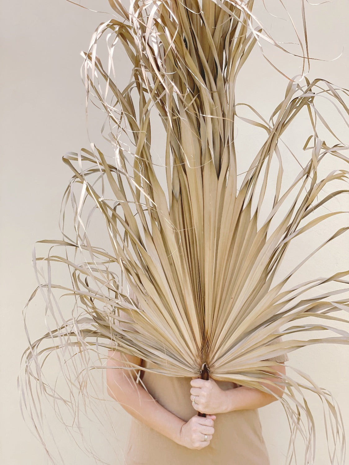 3ft. JUMBO Palm Leaf, Wispy-Ended Dried Palm Leaves, Beige Palm, Natural Sun-Dried Palm Leaf, Boho Home Decor, Wedding Party, Wall Decor, XL Large Dried Flowers