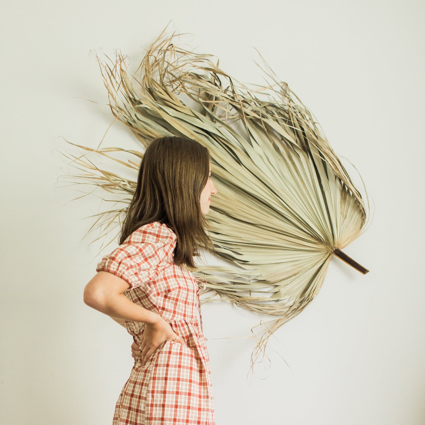 3ft. JUMBO Palm Leaf, Wispy-Ended Dried Palm Leaves, Beige Palm, Natural Sun-Dried Palm Leaf, Boho Home Decor, Wedding Party, Wall Decor, XL Large Dried Flowers