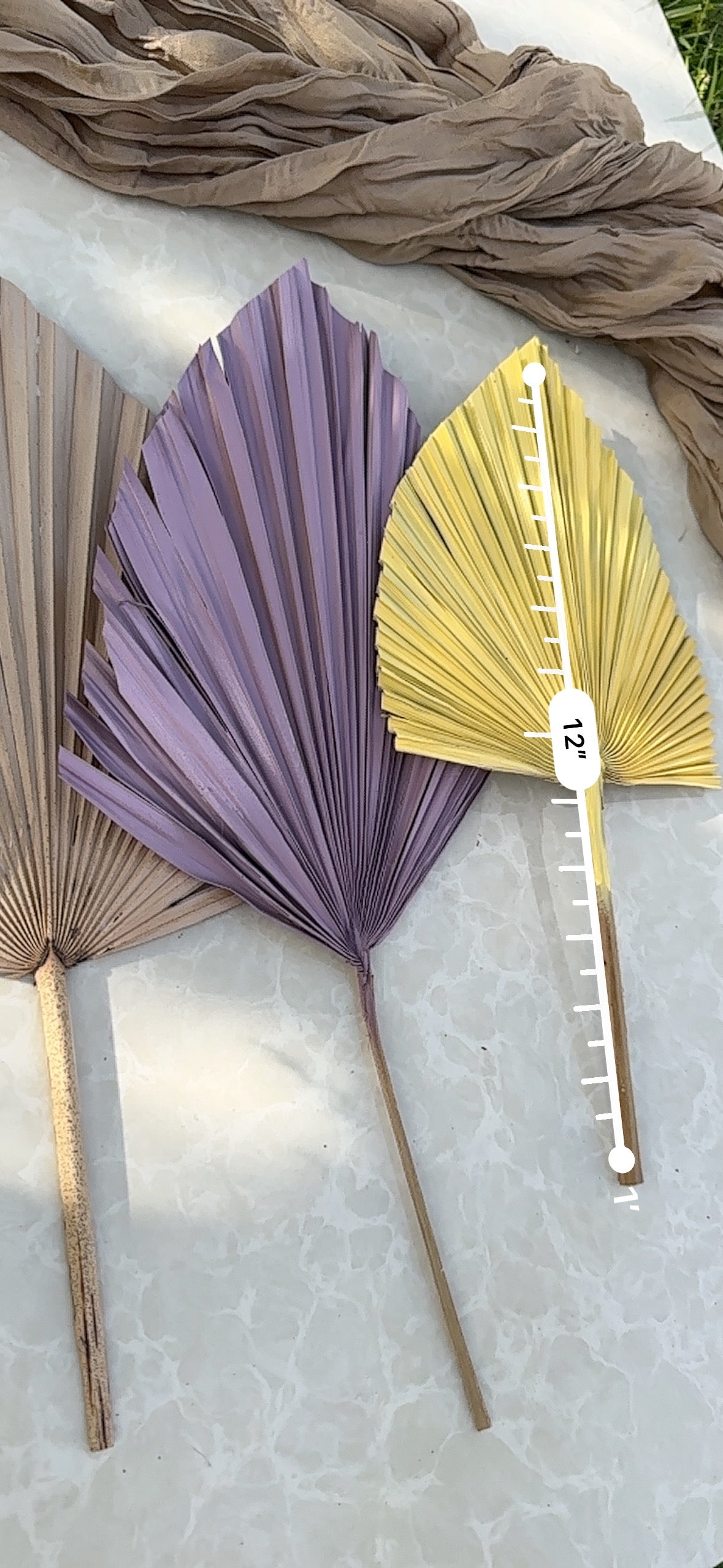 Mini Pampass Grass & Palm Bouquet Bundle + FREE Vase + FREE Shipping