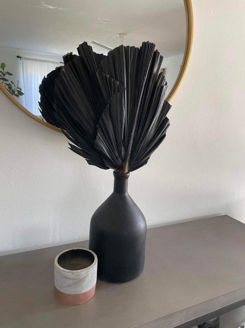 Includes 3 Palms: 12"W X 17"L Charcoal BLACK Medium Dried Palm Leaf | Palm Fan | Tropical Decor | DIY Floral Arrangements | Home | Party | Wedding | Boho Decor | Free Ships Flat, Ready to Use! 3 PCS