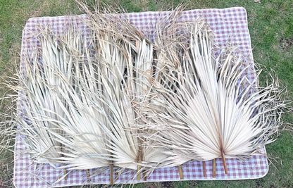 Giant Set of 5 Dried Palm Leaves, Wedding Arrangements, DIY Wedding Decor for Outdoor & Indoor, Boho Wedding Backdrops, XL Photoshoot Props