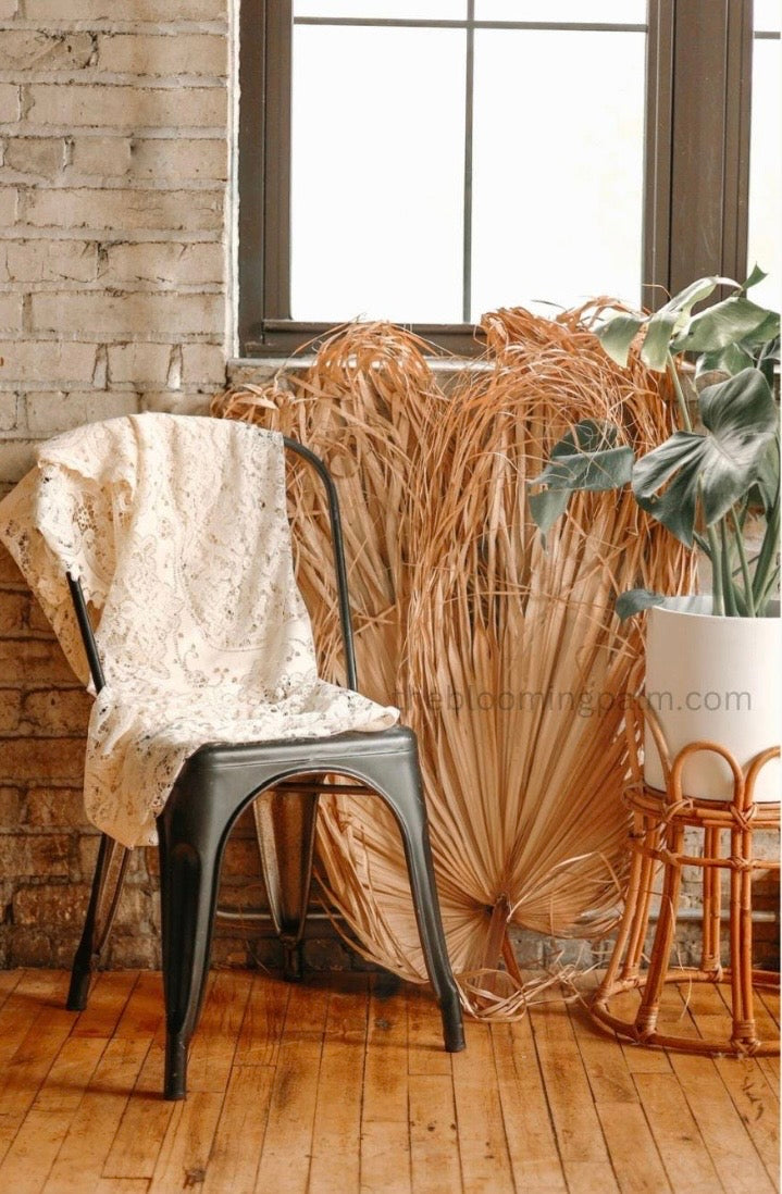 Giant Set of 5 Dried Palm Leaves, Wedding Arrangements, DIY Wedding Decor for Outdoor & Indoor, Boho Wedding Backdrops, XL Photoshoot Props