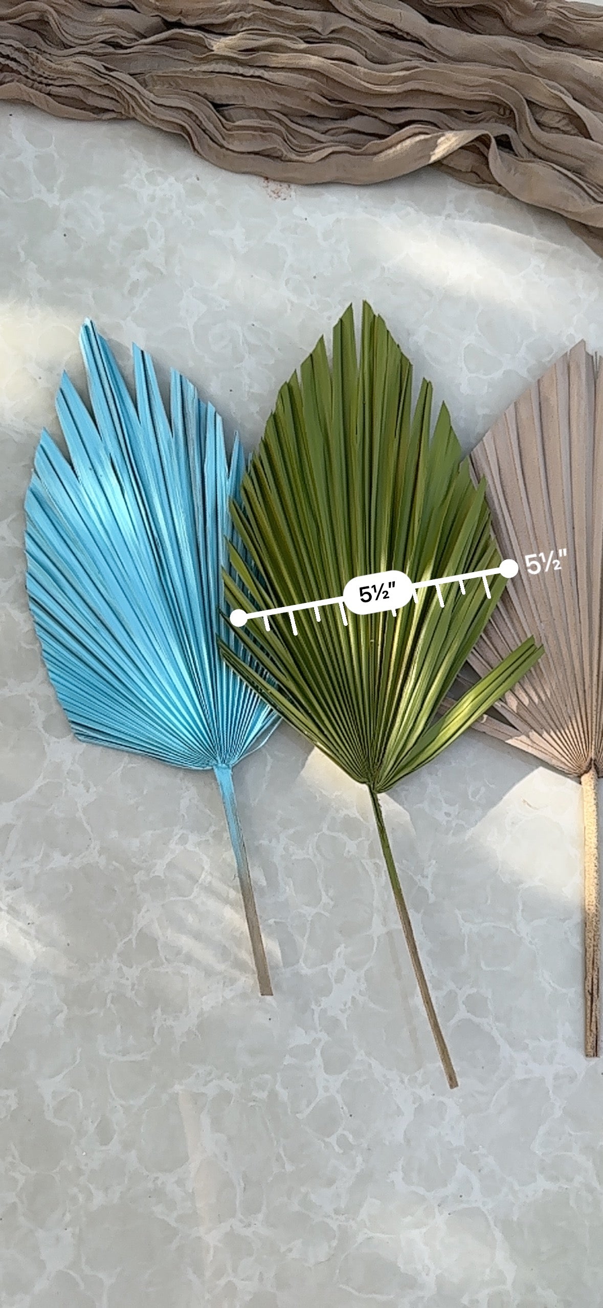 Mini Pampass Grass & Palm Bouquet Bundle + FREE Vase + FREE Shipping