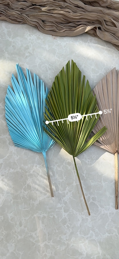 Mini Pampass Grass & Palm Bouquet Bundle + FREE Vase + FREE Shipping