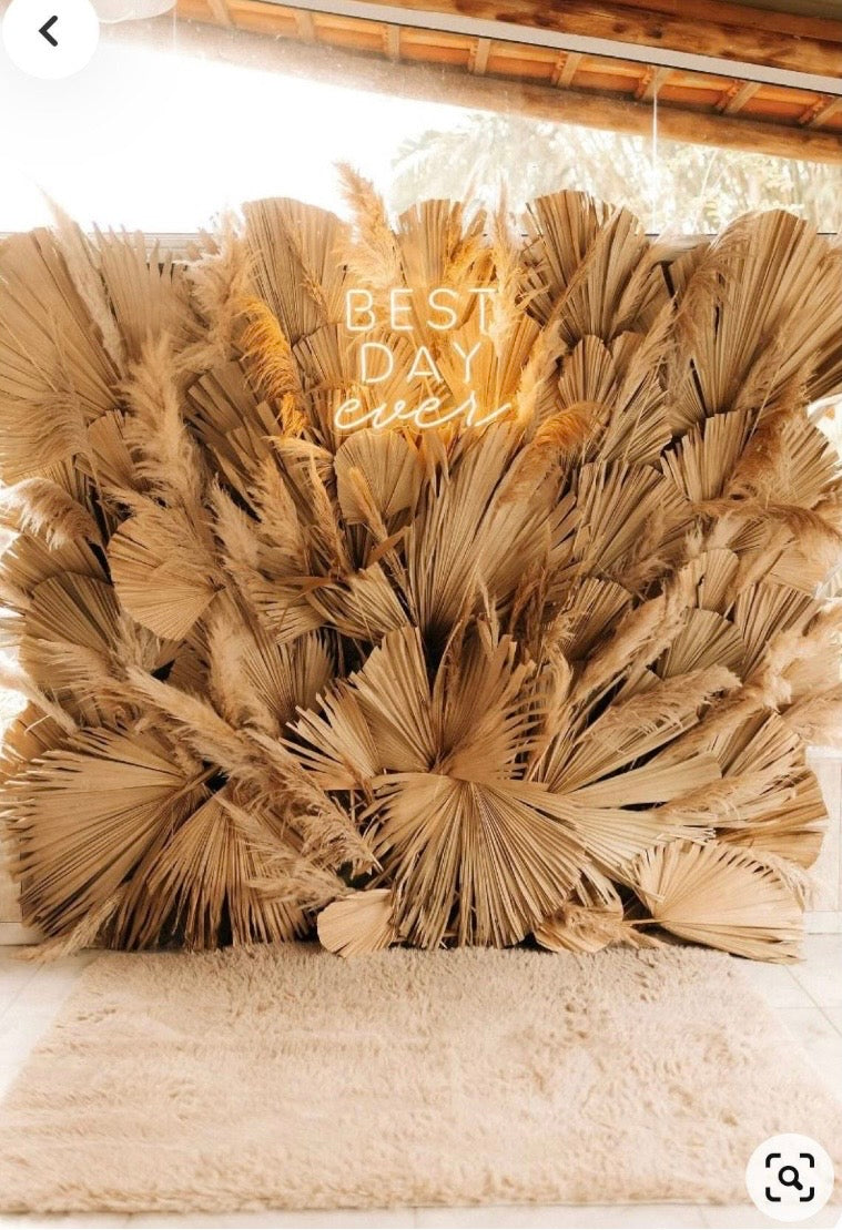 Giant Set of 5 Dried Palm Leaves, Wedding Arrangements, DIY Wedding Decor for Outdoor & Indoor, Boho Wedding Backdrops, XL Photoshoot Props