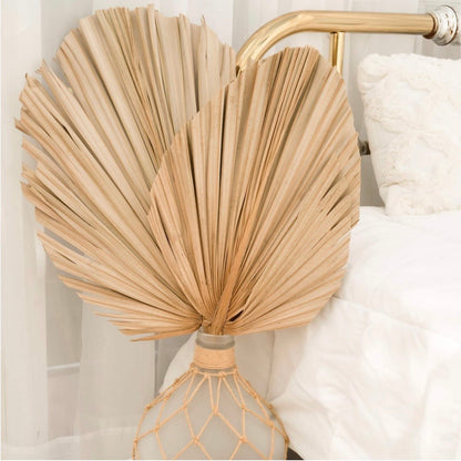 20X15" LARGE Natural Sun-Dried Boho-Style Palm Leaf Home Decor, Free Shipping!