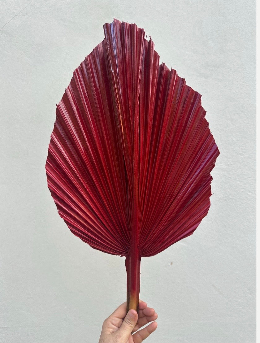 NEW! Burgundy Red Hand Painted Leaves Set, 3 Piece Dried Palm Spear Frond Leaf, Nature Inspired Apartment Decor, DIY Wedding Arrangements