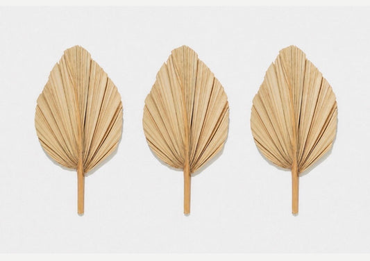 Includes 3 Palms: 12"W X 17"L Medium BEIGE Neutral Dried Palm Leaf | Palm Fan | Tropical Decor | DIY Floral Arrangements | Home | Party | Wedding | Boho Decor | Free Ships Flat, Ready to Use! 3 PCS