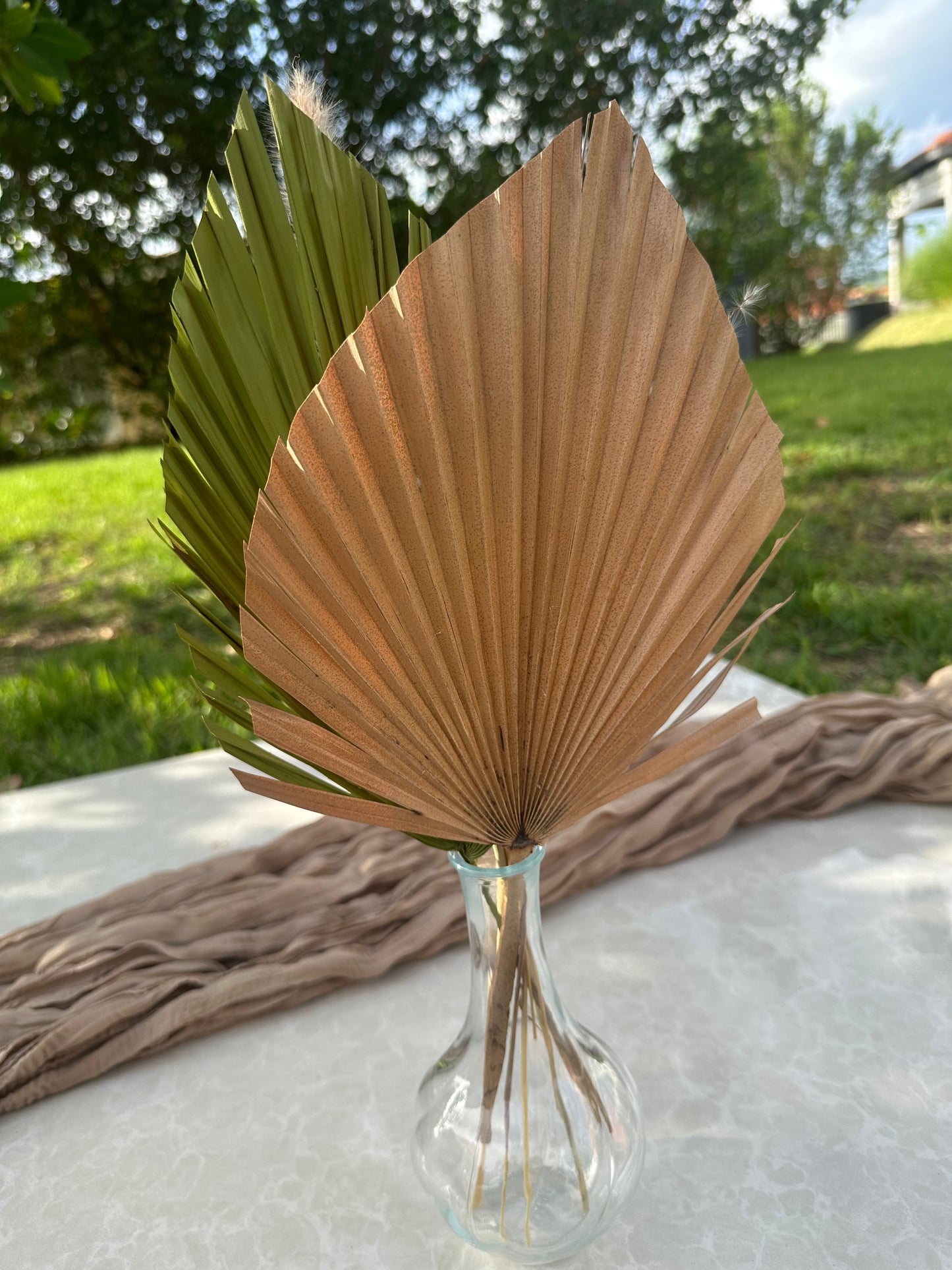 Mini Pampass Grass & Palm Bouquet Bundle + FREE Vase + FREE Shipping