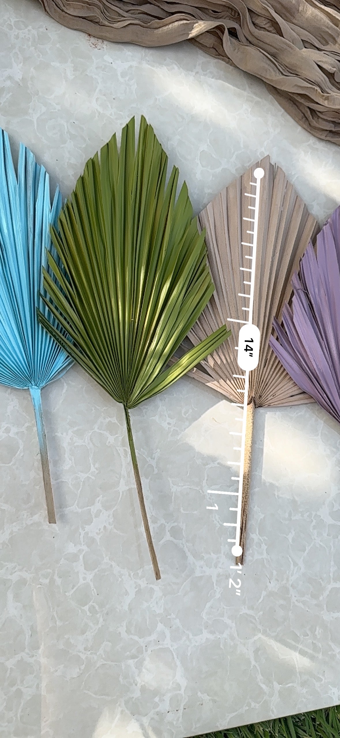 Mini Pampass Grass & Palm Bouquet Bundle + FREE Vase + FREE Shipping