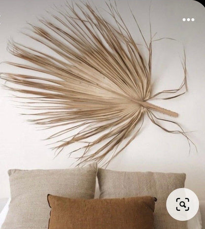 Wholesale Jumbo Dried Palm Leaves Bulk Set, DIY Boho Wedding Backdrop Decor, Large Palm Fronds for Photoshoot, Event Styling Ceremony Props