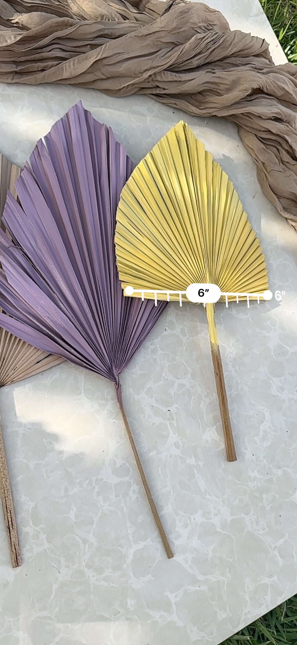 Mini Pampass Grass & Palm Bouquet Bundle + FREE Vase + FREE Shipping