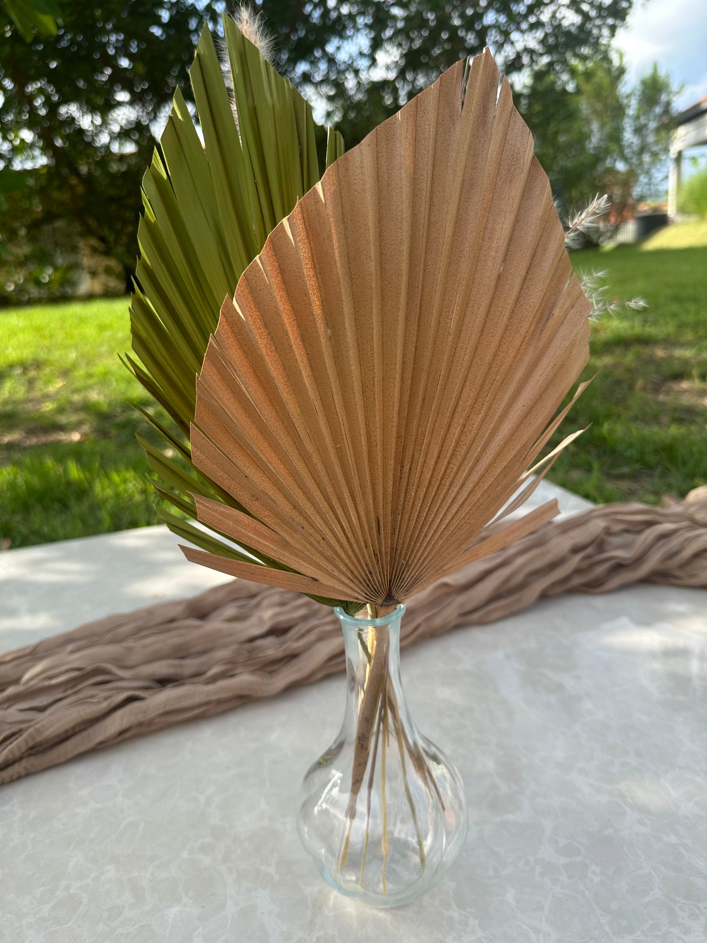 Mini Pampass Grass & Palm Bouquet Bundle + FREE Vase + FREE Shipping