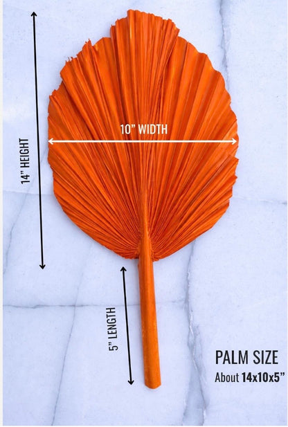 14” Burnt Orange Dried Palm Leaves Set of 3, Fall Boho Decor, Painted Palm Fronds, Autumn Wedding Centerpiece, Tropical Vase Fillers