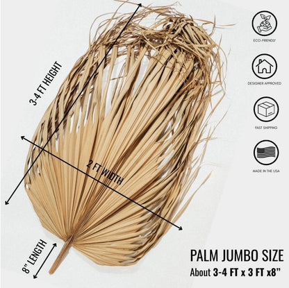 Giant Set of 5 Dried Palm Leaves, Wedding Arrangements, DIY Wedding Decor for Outdoor & Indoor, Boho Wedding Backdrops, XL Photoshoot Props