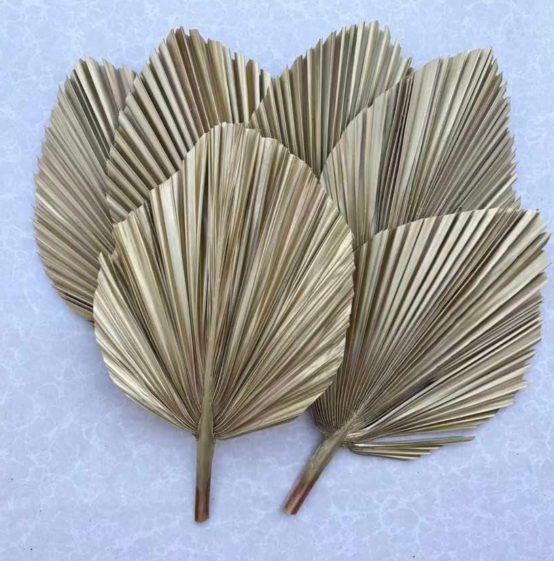 14” Custom Color Painted Palm Leaves (no extra cost) 3pcs