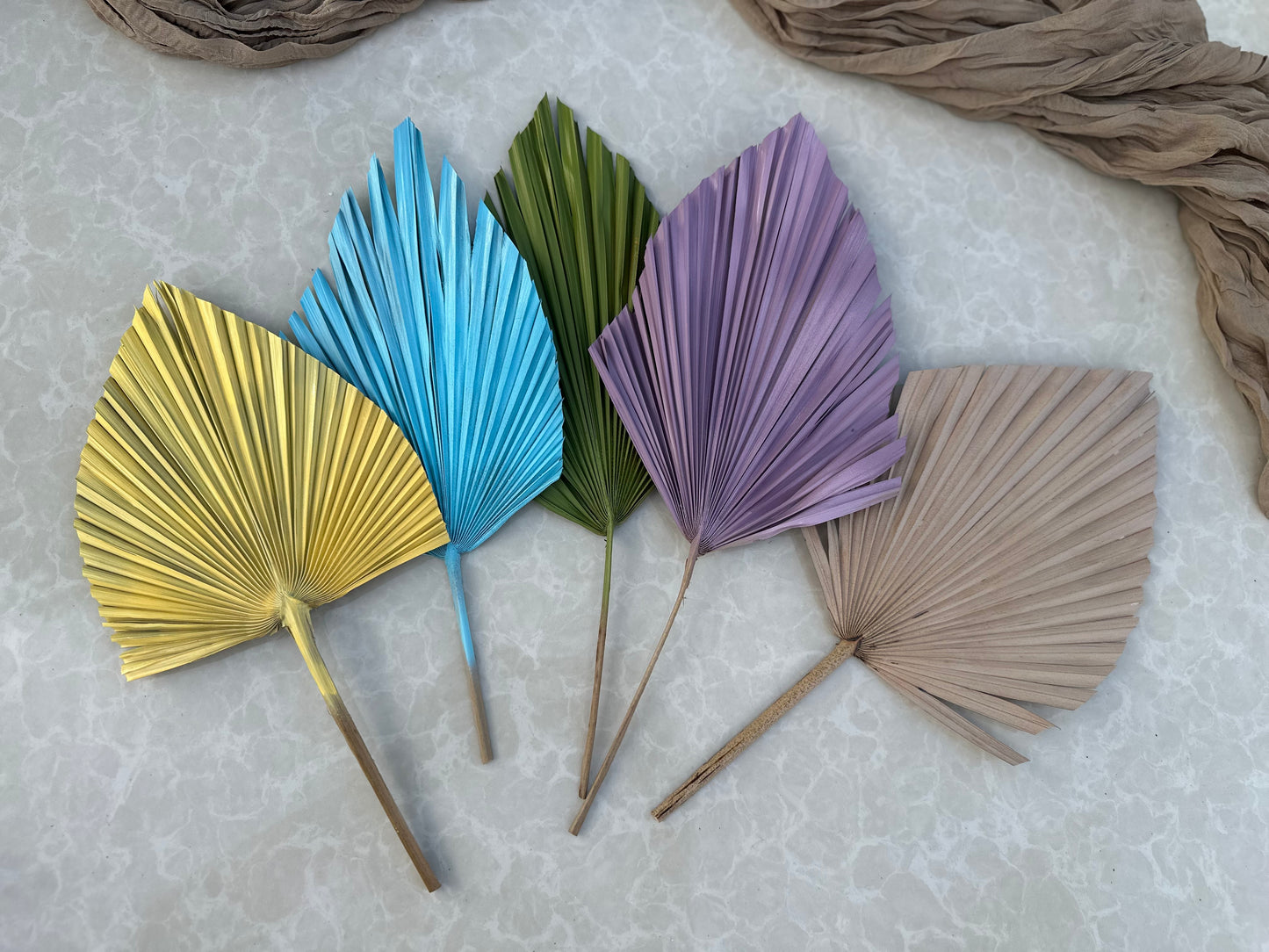 Mini Pampass Grass & Palm Bouquet Bundle + FREE Vase + FREE Shipping