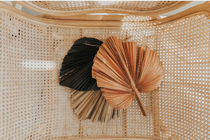 Includes 3 Palms: 12"W X 17"L Charcoal BLACK Medium Dried Palm Leaf | Palm Fan | Tropical Decor | DIY Floral Arrangements | Home | Party | Wedding | Boho Decor | Free Ships Flat, Ready to Use! 3 PCS