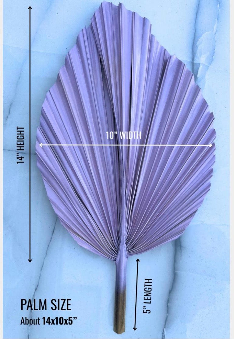 14” Custom Color Painted Palm Leaves (no extra cost) 3pcs