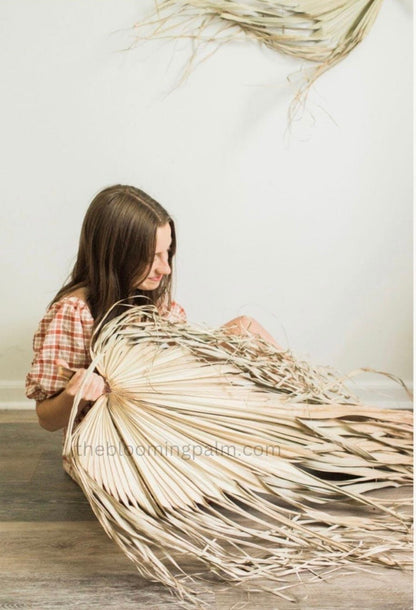 Giant Set of 5 Dried Palm Leaves, Wedding Arrangements, DIY Wedding Decor for Outdoor & Indoor, Boho Wedding Backdrops, XL Photoshoot Props