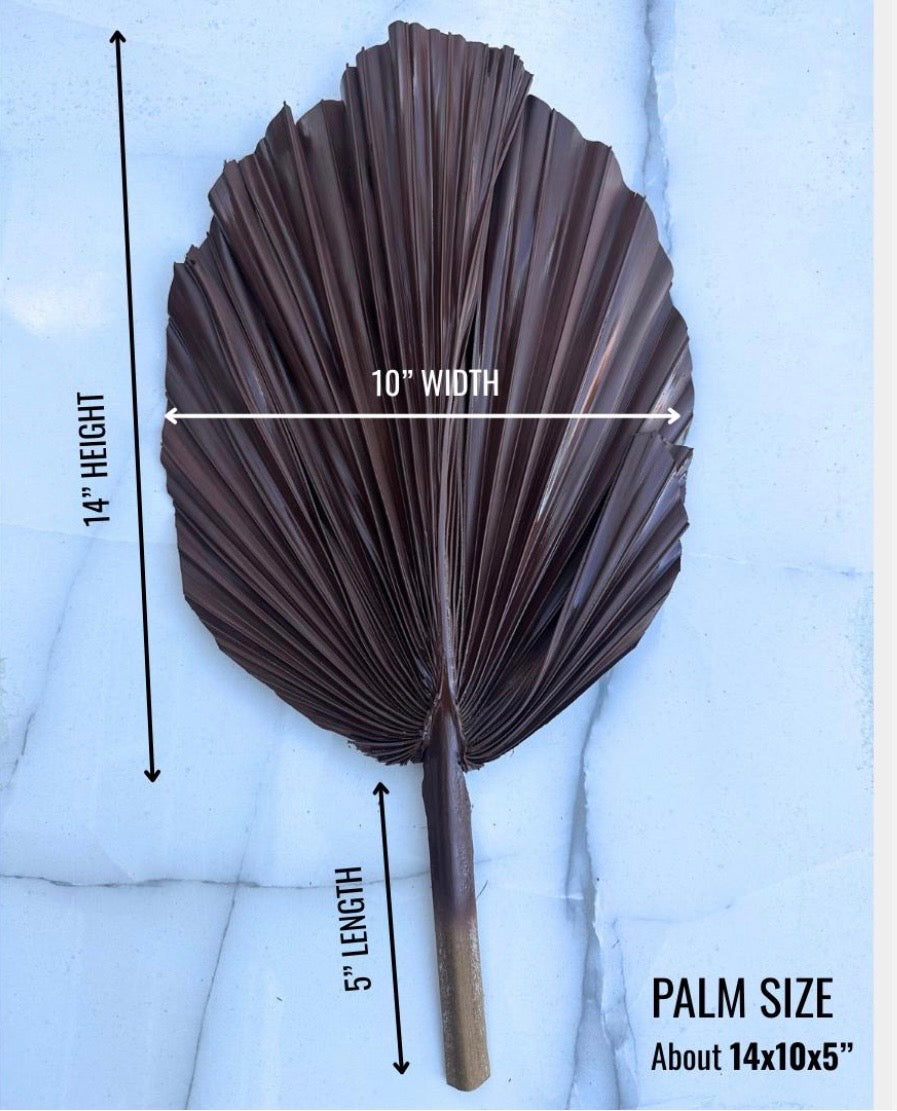 SET Of THREE Chocolate Brown Hand Painted Palm Spear Leaves, 3 Piece Natural Dried Leaves for DIY Decorations, Organic Natural Home Decor