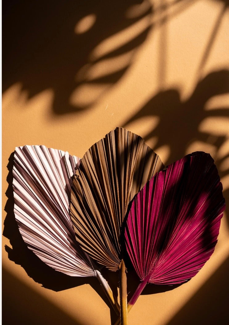 SET Of THREE Chocolate Brown Hand Painted Palm Spear Leaves, 3 Piece Natural Dried Leaves for DIY Decorations, Organic Natural Home Decor