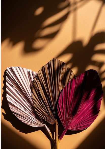 SET Of THREE Chocolate Brown Hand Painted Palm Spear Leaves, 3 Piece Natural Dried Leaves for DIY Decorations, Organic Natural Home Decor
