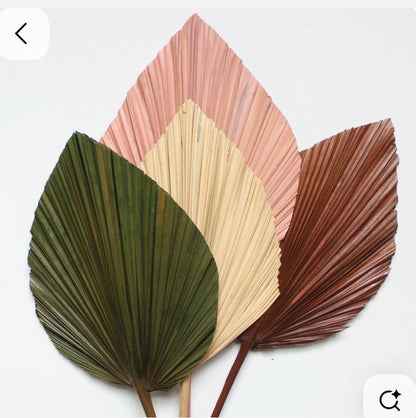 14” Custom Color Painted Palm Leaves (no extra cost) 3pcs