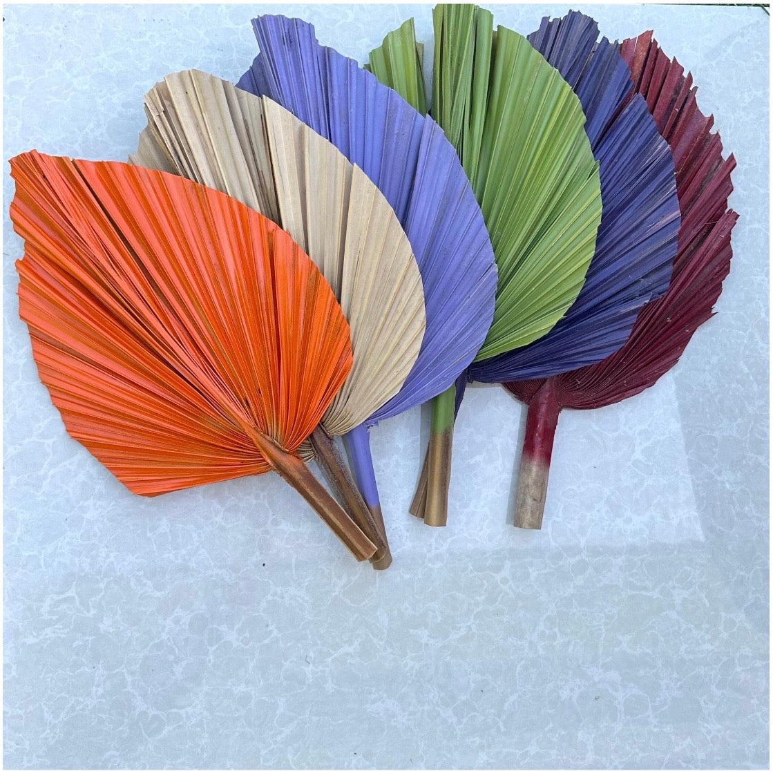 14” Custom Color Painted Palm Leaves (no extra cost) 3pcs
