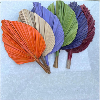14” Custom Color Painted Palm Leaves (no extra cost) 3pcs