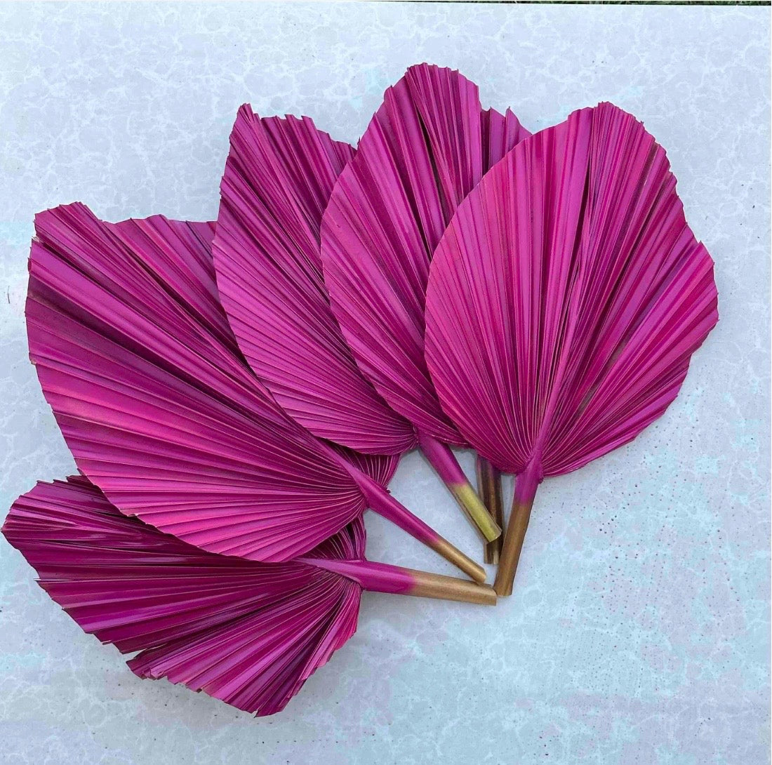 14” Custom Color Painted Palm Leaves (no extra cost) 3pcs