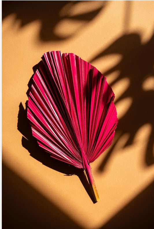 Includes 3 Palms: 12"W X 17"L Medium PINK Dried Palm Leaf | Palm Fan | Tropical Decor | DIY Floral Arrangements | Home | Party | Wedding | Boho Decor | Free Ships Flat, Ready to Use! 3 PCS