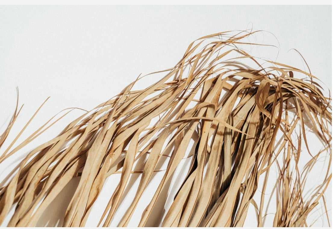 Giant Set of 5 Dried Palm Leaves, Wedding Arrangements, DIY Wedding Decor for Outdoor & Indoor, Boho Wedding Backdrops, XL Photoshoot Props