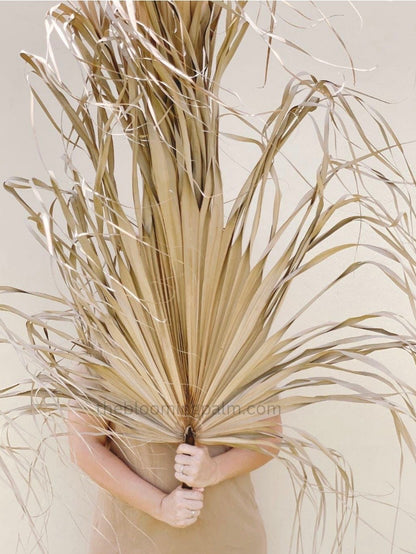 Giant Set of 5 Dried Palm Leaves, Wedding Arrangements, DIY Wedding Decor for Outdoor & Indoor, Boho Wedding Backdrops, XL Photoshoot Props