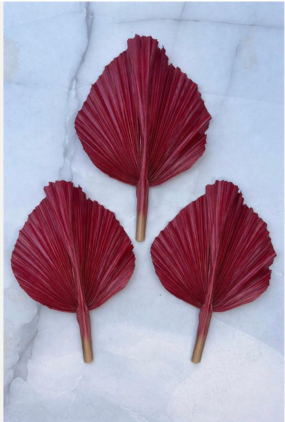 NEW! Burgundy Red Hand Painted Leaves Set, 3 Piece Dried Palm Spear Frond Leaf, Nature Inspired Apartment Decor, DIY Wedding Arrangements