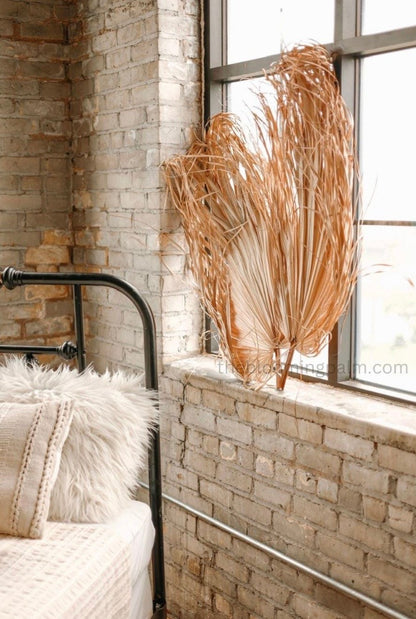Giant Set of 5 Dried Palm Leaves, Wedding Arrangements, DIY Wedding Decor for Outdoor & Indoor, Boho Wedding Backdrops, XL Photoshoot Props